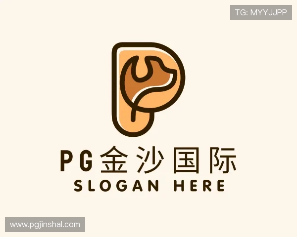 解读pg金沙国际